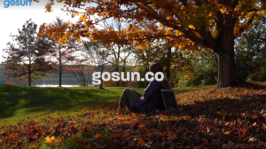 GoSun Solar Seat